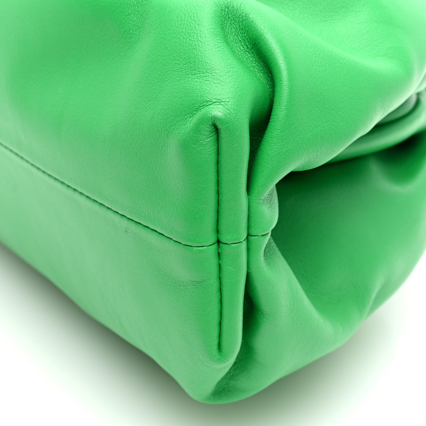 Calfskin Teen Pouch Clutch Parakeet