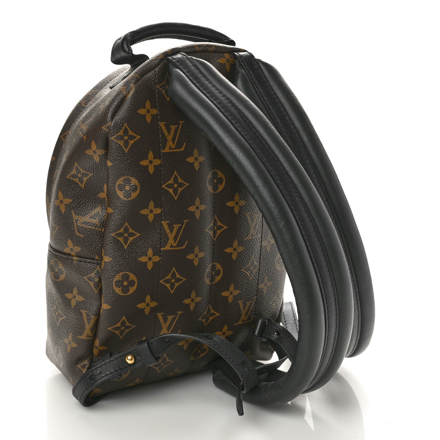 Louis Vuitton Monogram Palm Springs Backpack PM 3 of 10