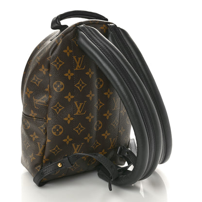 Louis Vuitton Monogram Palm Springs Backpack PM 3 of 10