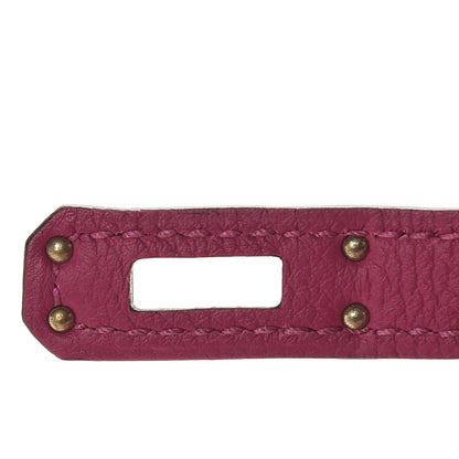 Hermes Togo Birkin 25 Rose Pourpre 20 of 36
