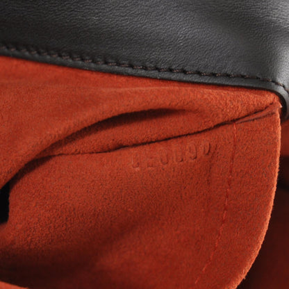 Louis Vuitton Damier Sauvage Lionne 10 of 10