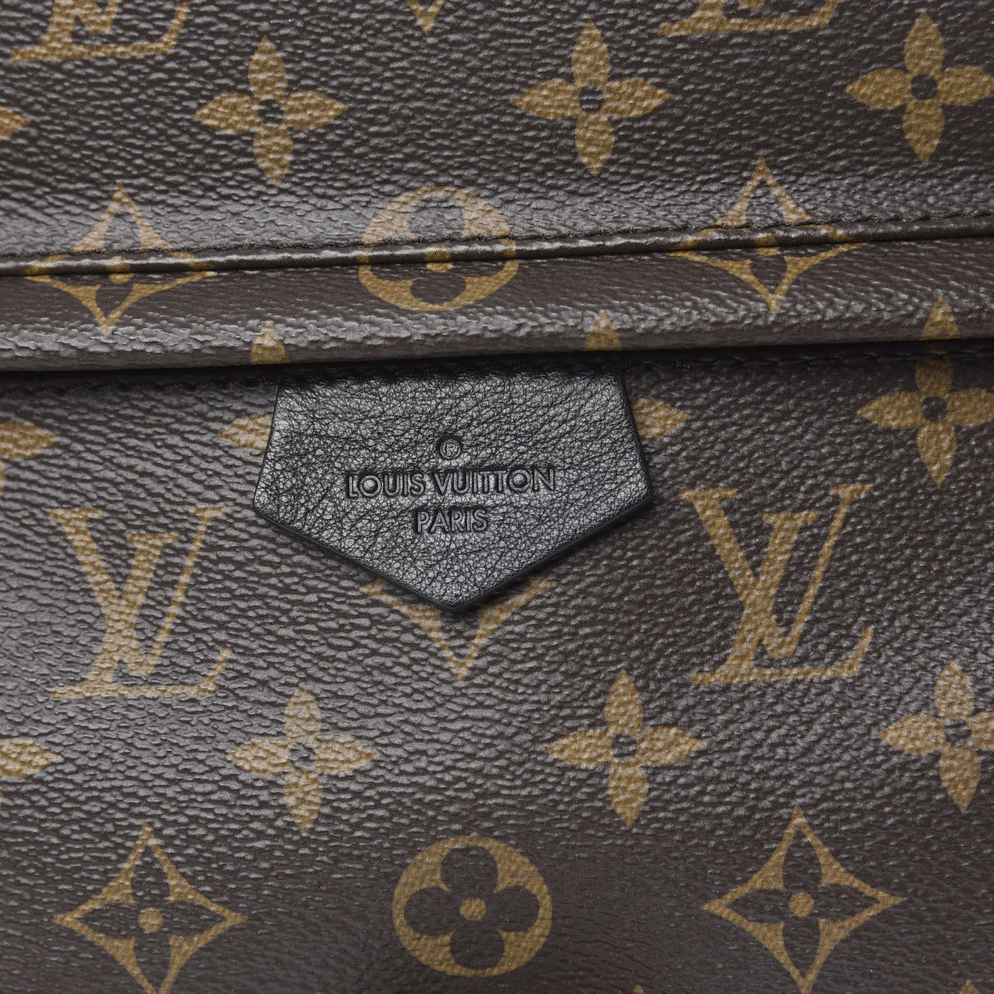 Monogram Palm Springs Backpack MM