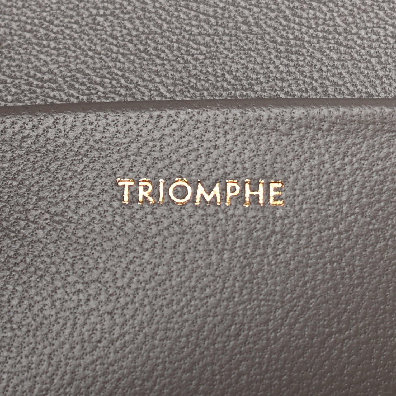 Celine Shiny Calfskin Medium Triomphe Pebble 7 of 10