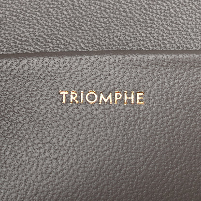 Celine Shiny Calfskin Medium Triomphe Pebble 7 of 10