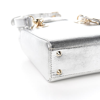 Christian Dior Metallic Lizard Small Lady Dior Argent 7 of 9