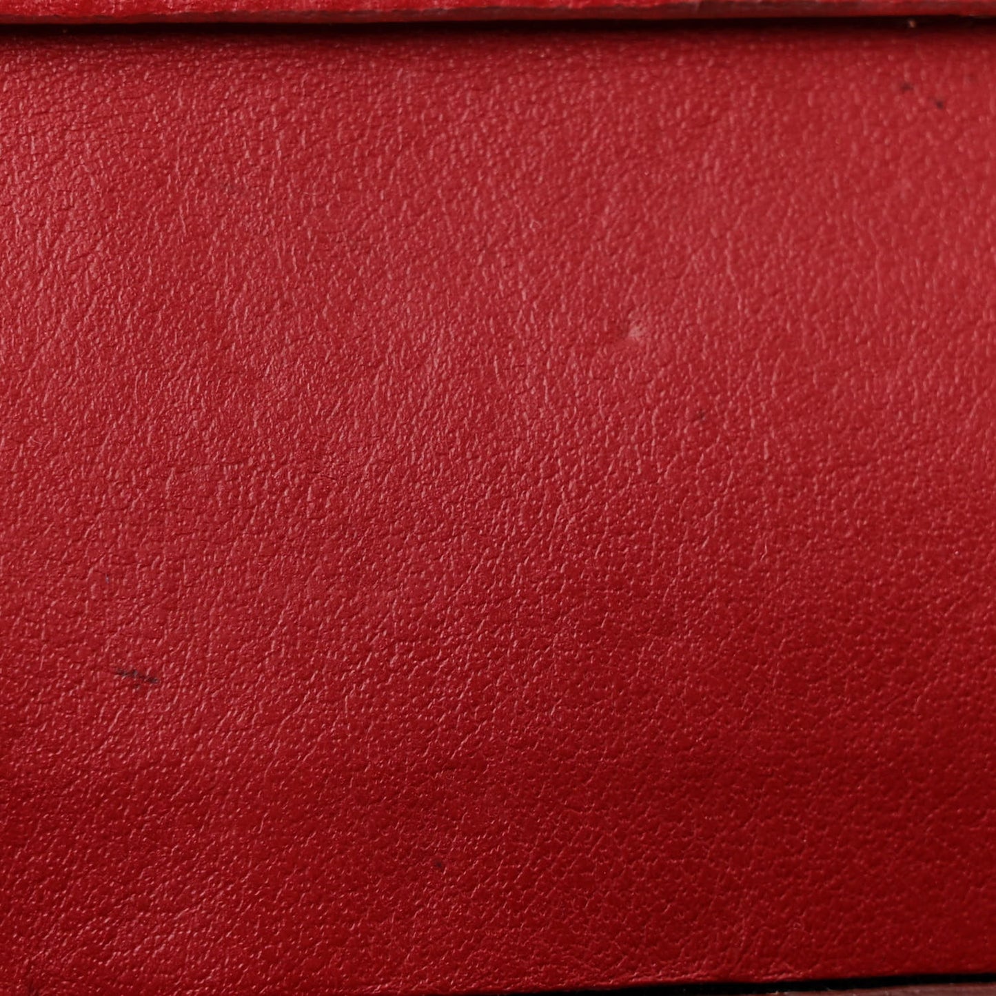 Lizard Effect Wallet On Chain Black