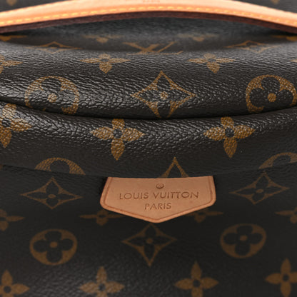 Louis Vuitton Monogram Bumbag 7 of 10
