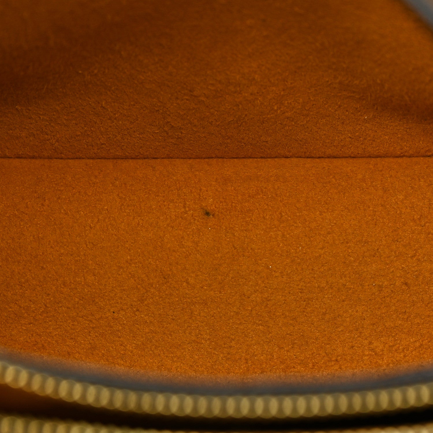 Louis Vuitton Monogram Giant Jungle NéoNoé Caramel 11 of 14