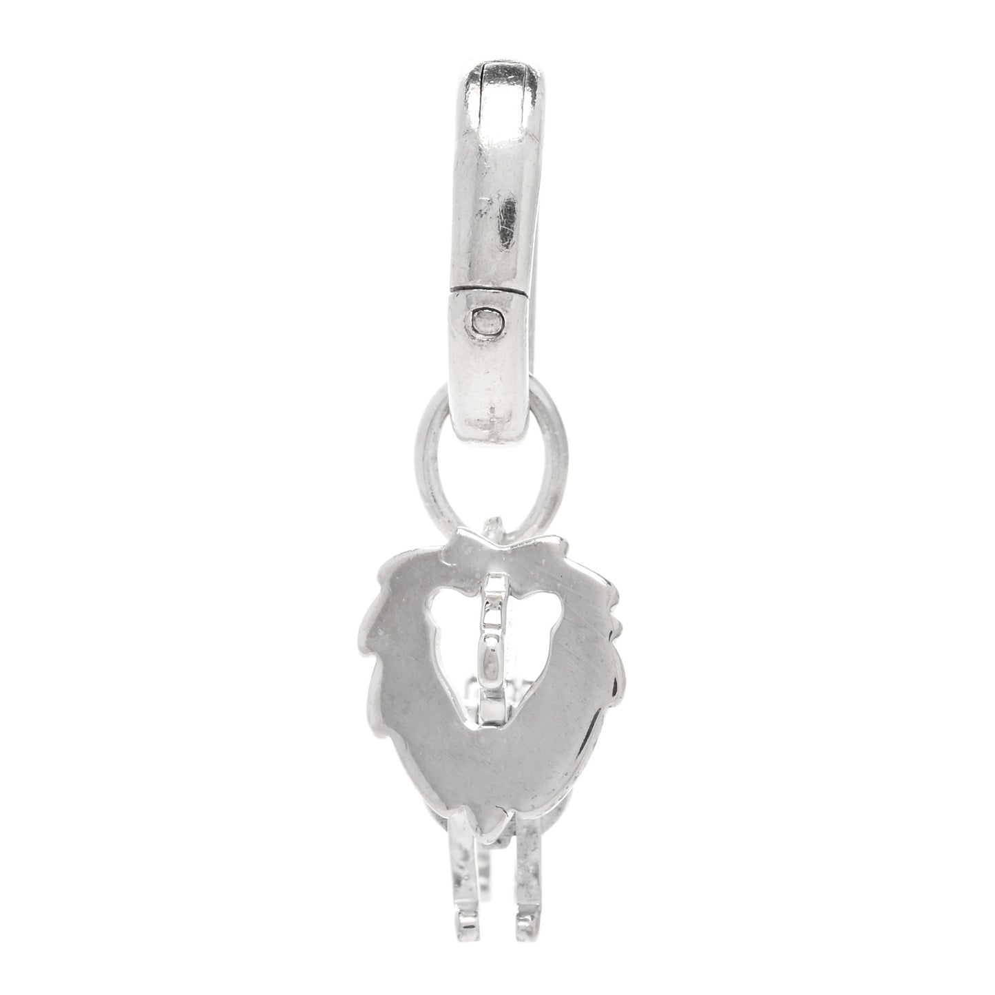 Sterling Silver Save the Wild Lion Charm