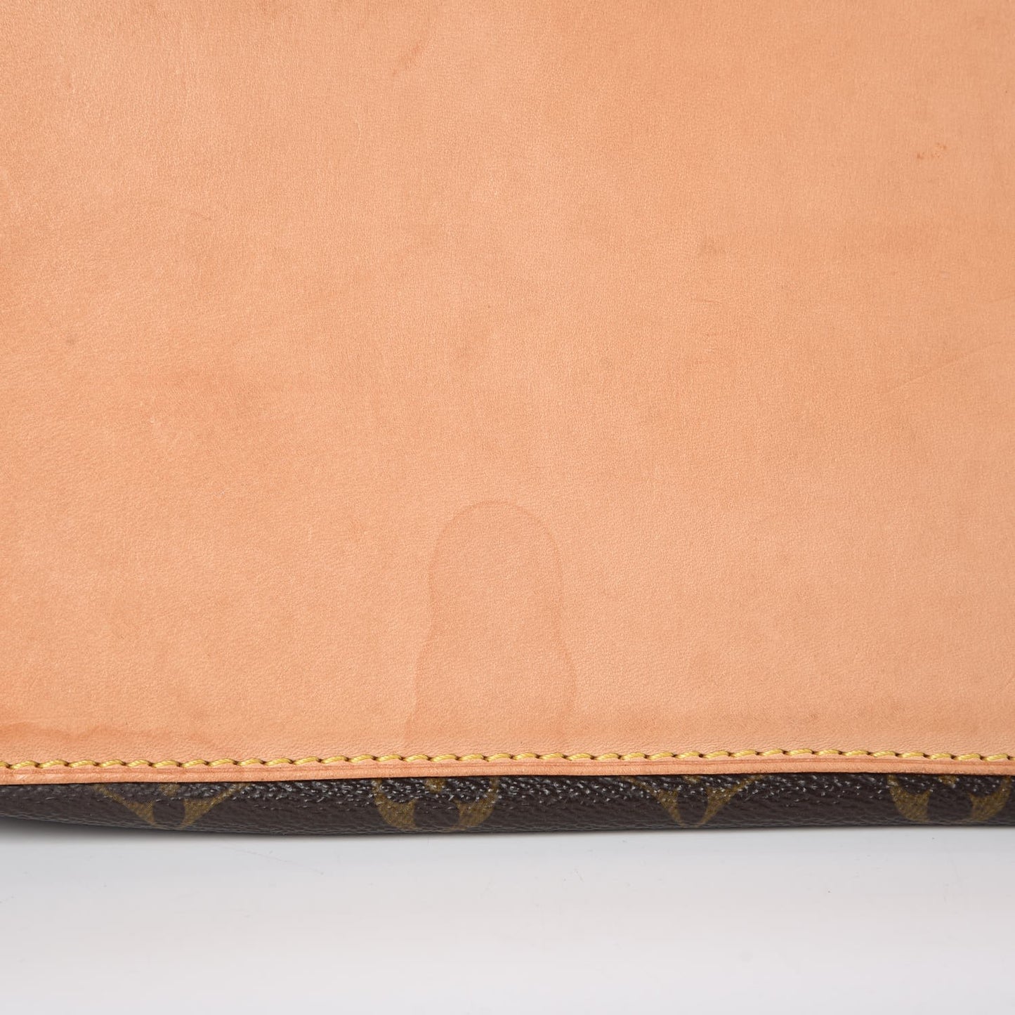 Monogram Cabas Mezzo