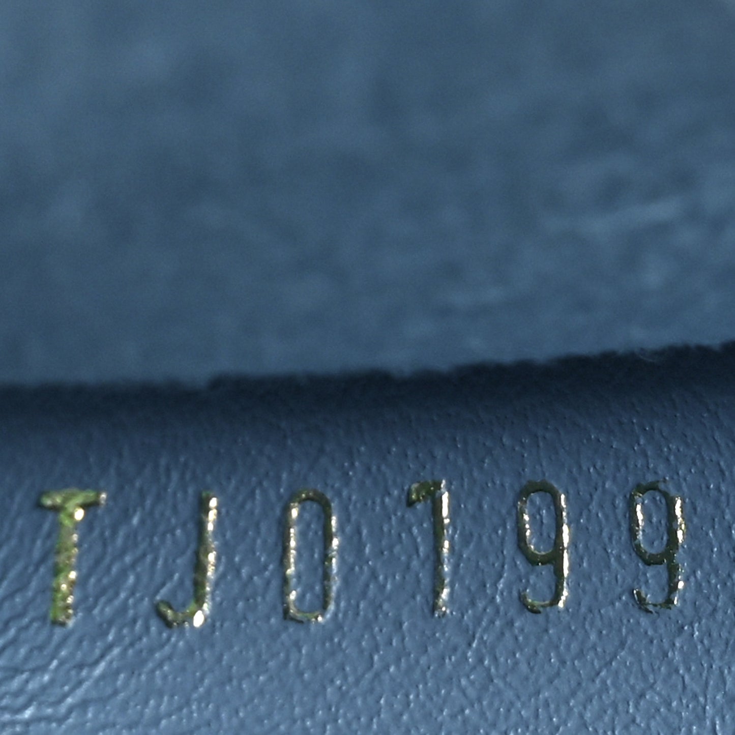Embroidered Monogram Denim New Wave Zipped Pochette Blue