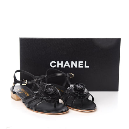 Chanel Calfskin Camellia Sandals 35.5 Black 8 of 8