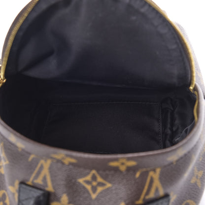 Louis Vuitton Monogram Palm Springs Backpack Mini 4 of 8