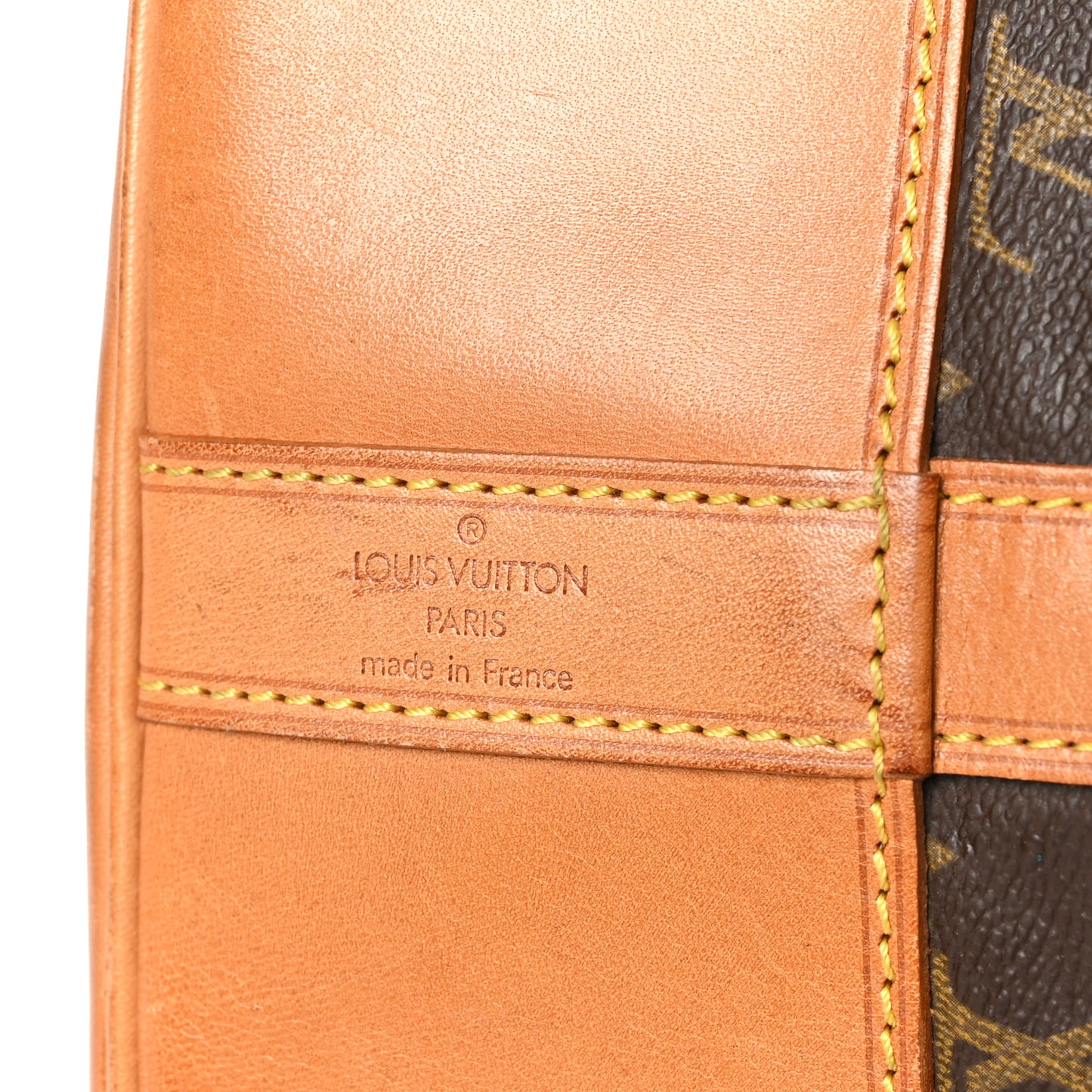 Monogram Randonnee GM Backpack