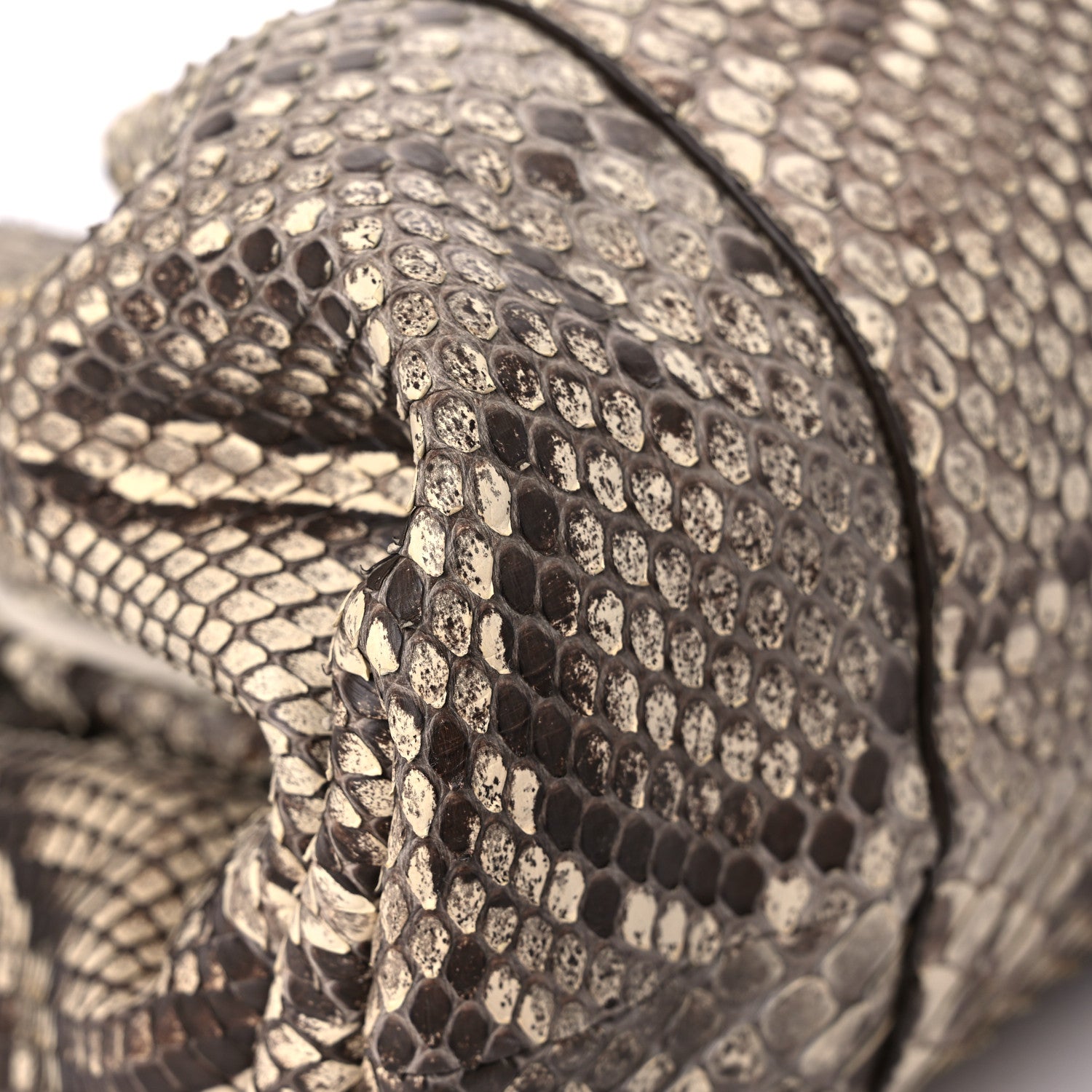 Bottega Veneta Python The Pouch Oversized Clutch Naturale 7 of 11