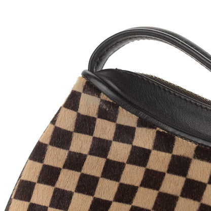 Louis Vuitton Calf Hair Damier Sauvage Tigre 14 of 14