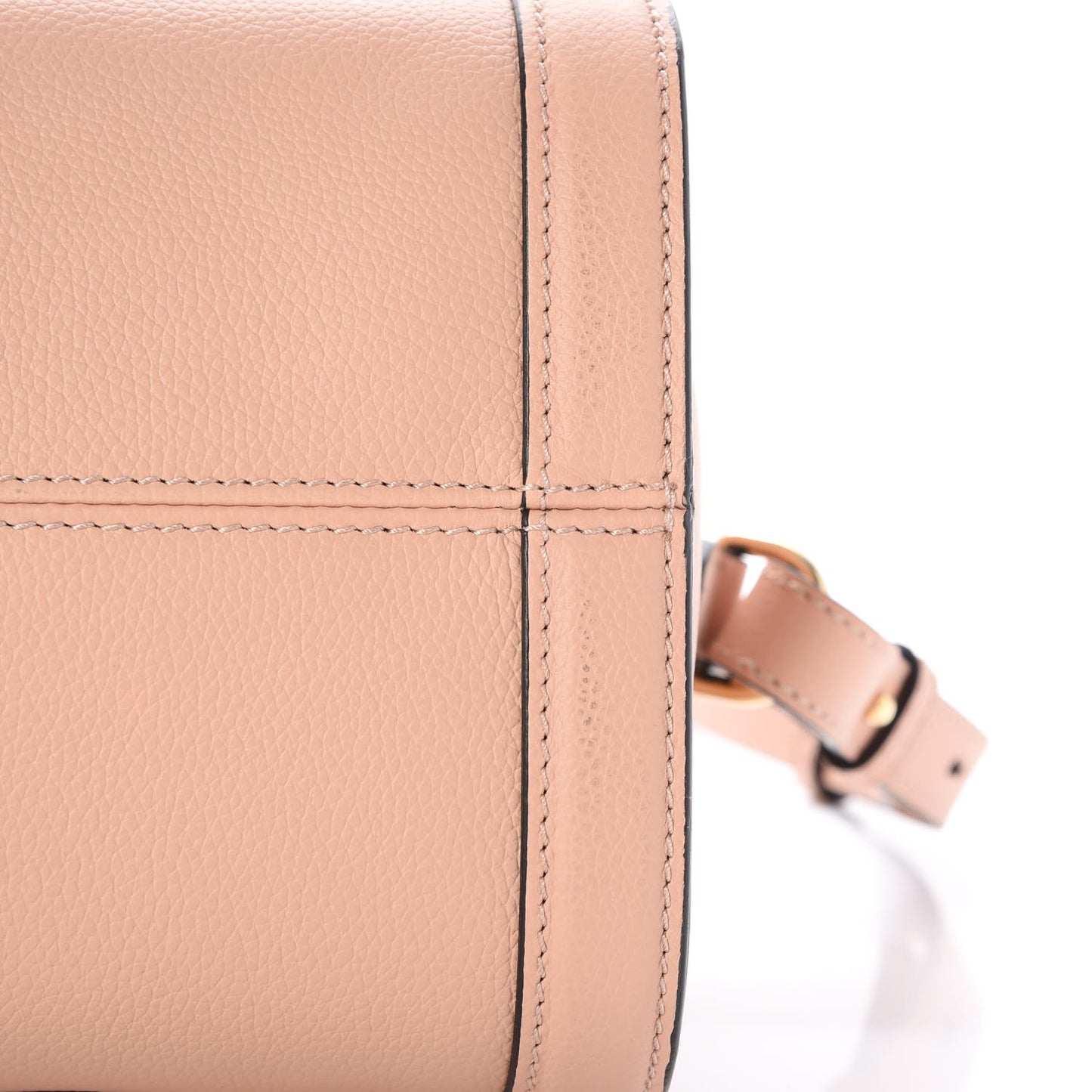 Pebbled Calfskin Small Skull Padlock Zip Around Tote Boudoir