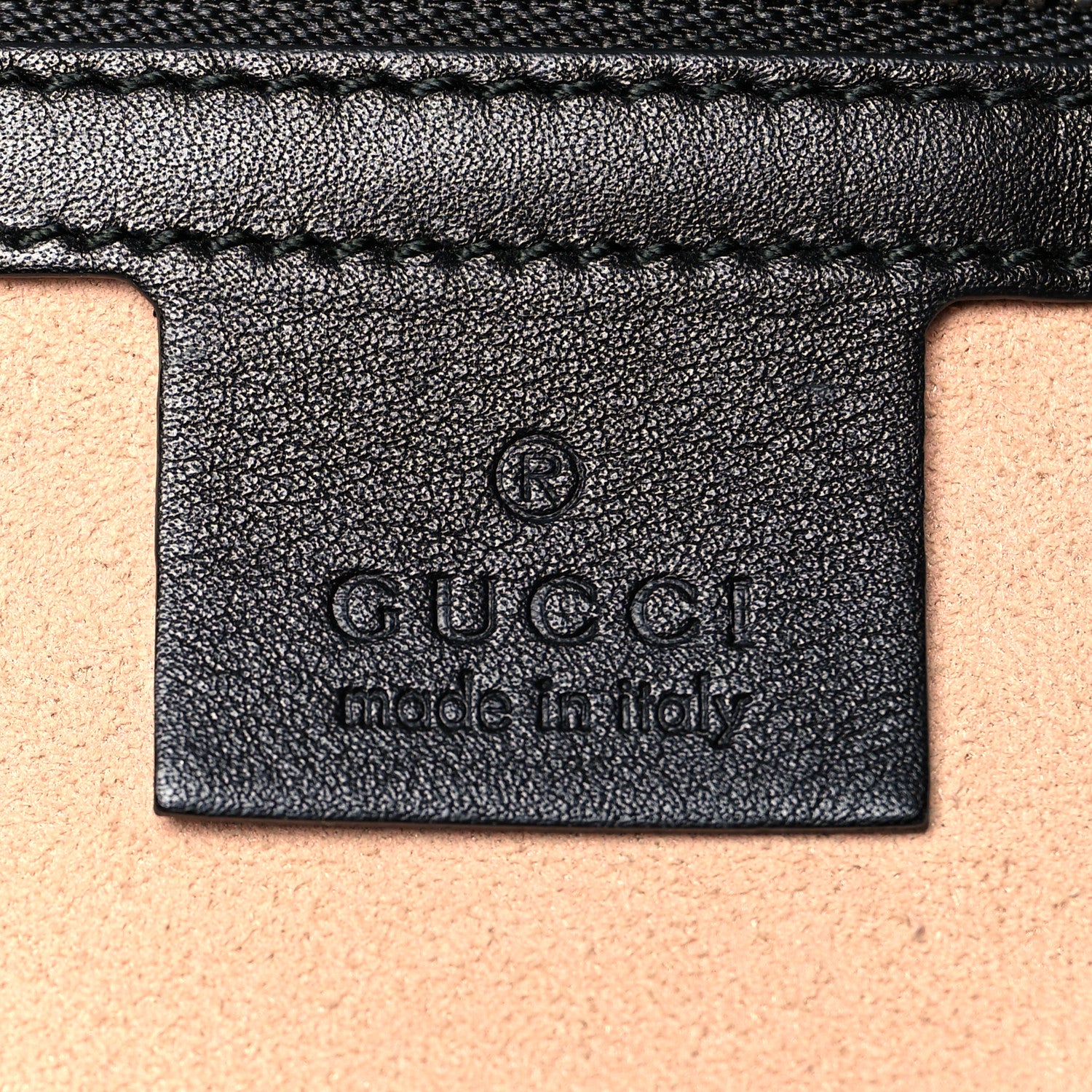 Gucci Calfskin Dog Embroidered Extra Large Dionysus Hobo Black 6 of 14