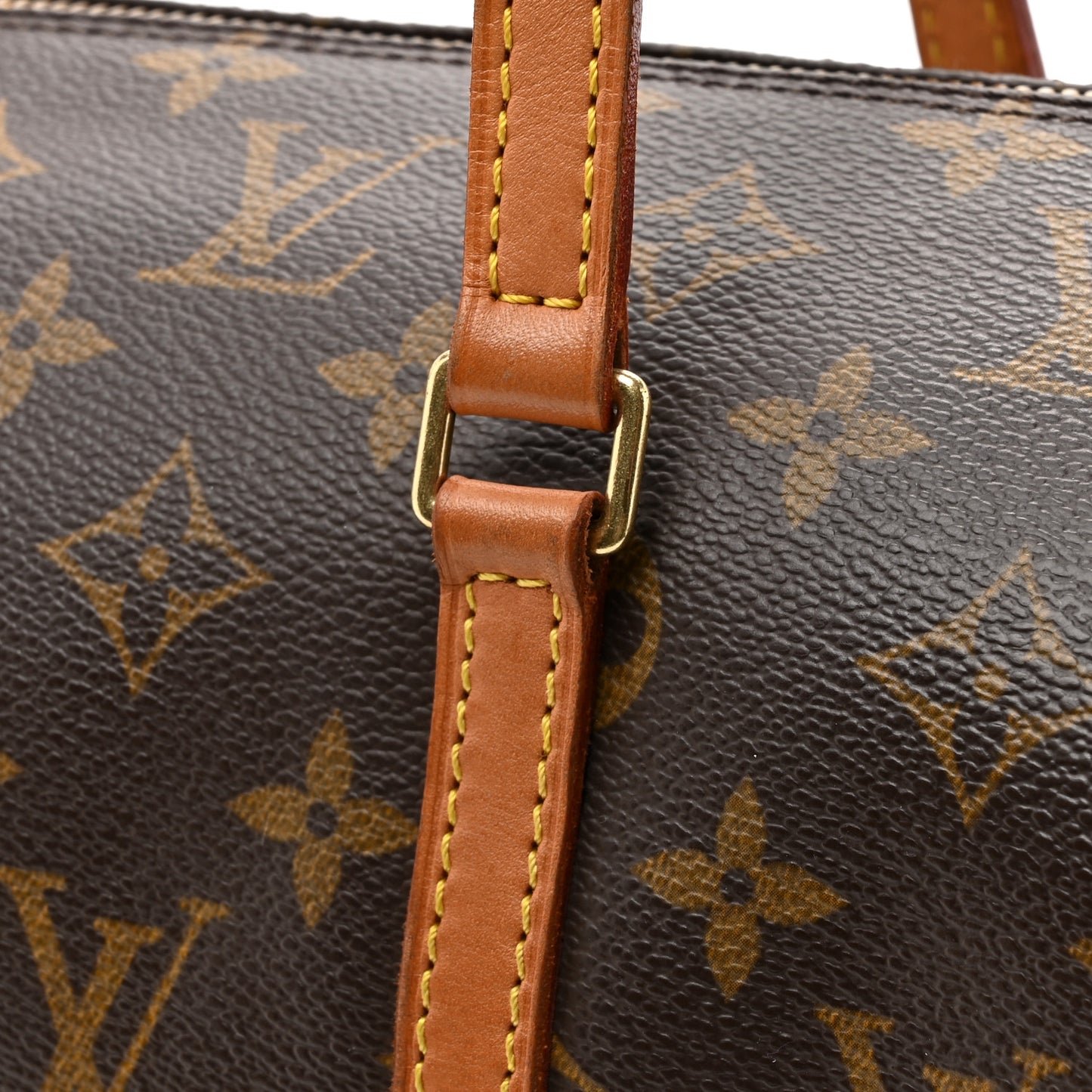 Monogram Papillon 30 with Companion