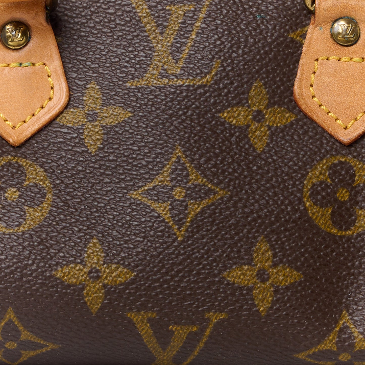 Monogram Mini Sac HL Speedy
