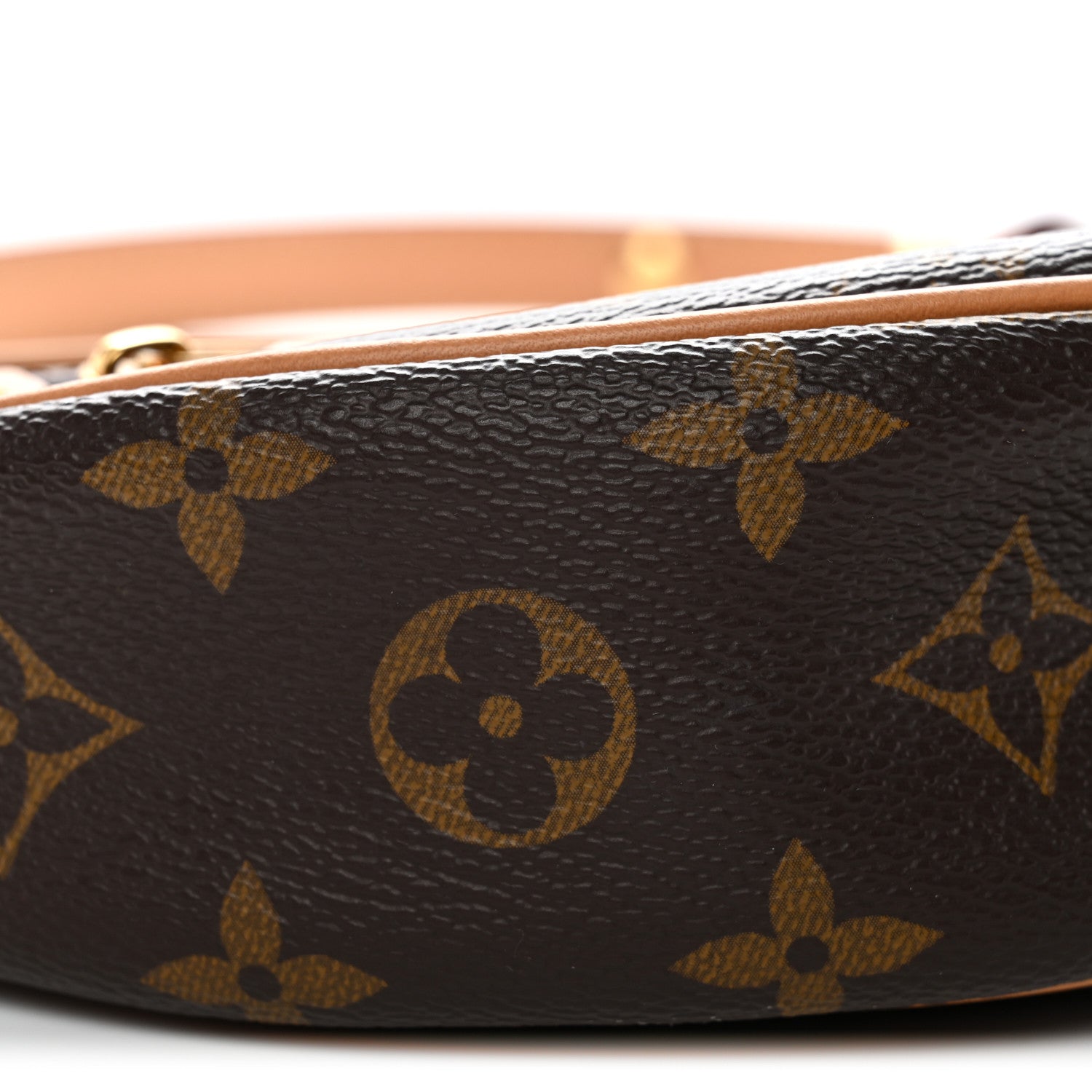 Louis Vuitton Monogram Loop 8 of 9