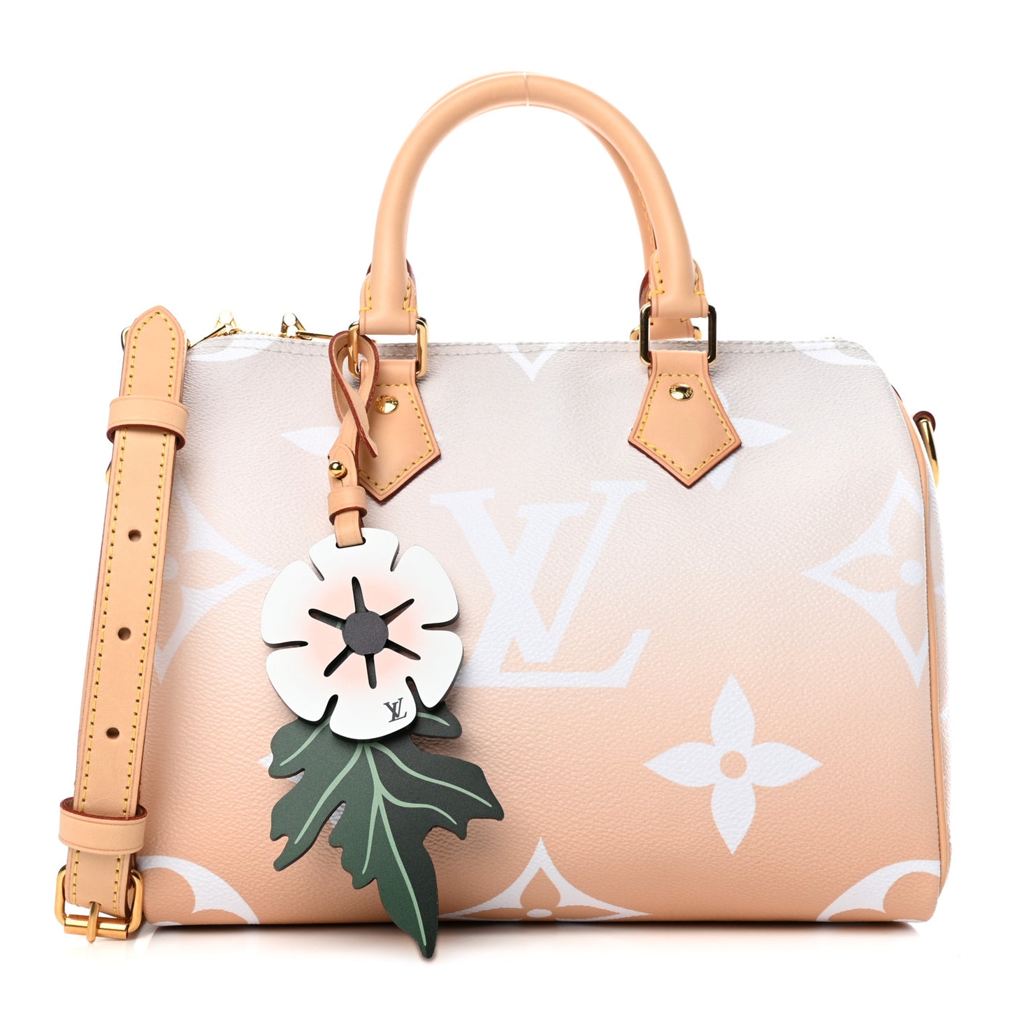 Monogram Giant By The Pool Speedy Bandouliere 25 Brume