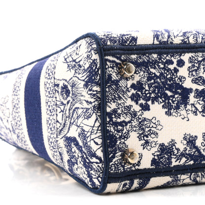 Christian Dior Toile de Jouy Embroidered Medium Lady D-Lite Blue 9 of 11