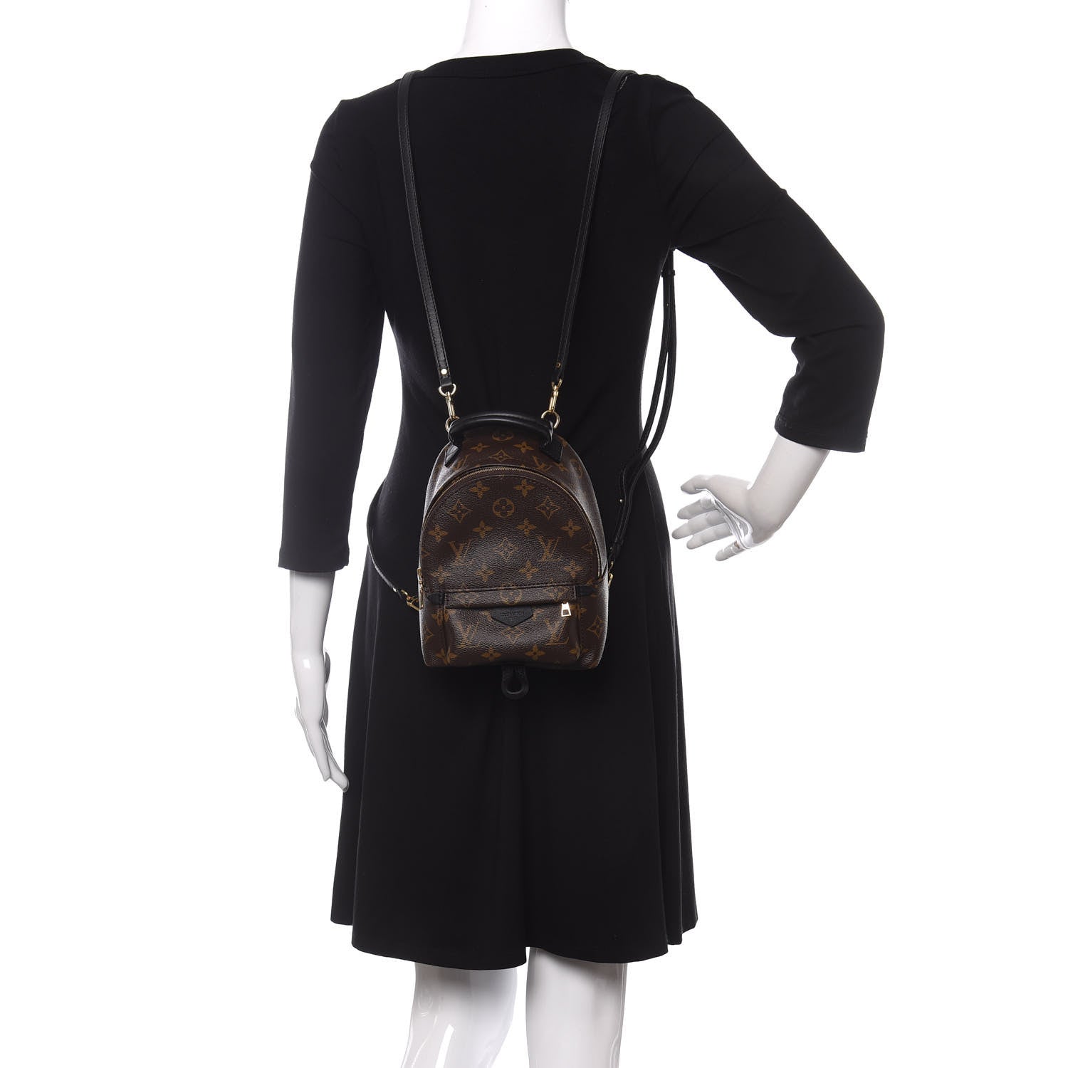 Louis Vuitton Monogram Palm Springs Backpack Mini 2 of 11