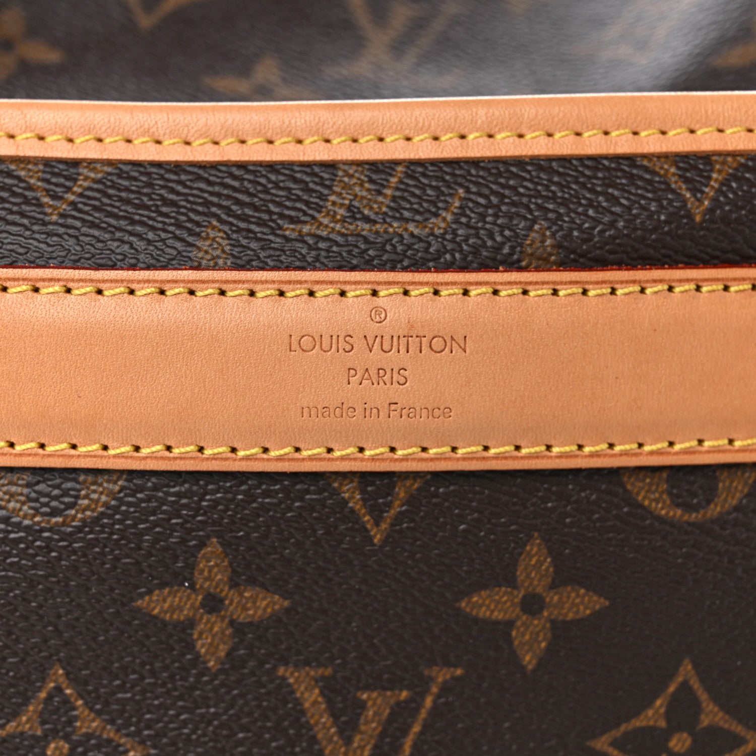 Louis Vuitton Monogram Sac Chien 40 Pet Carrier 5 of 11