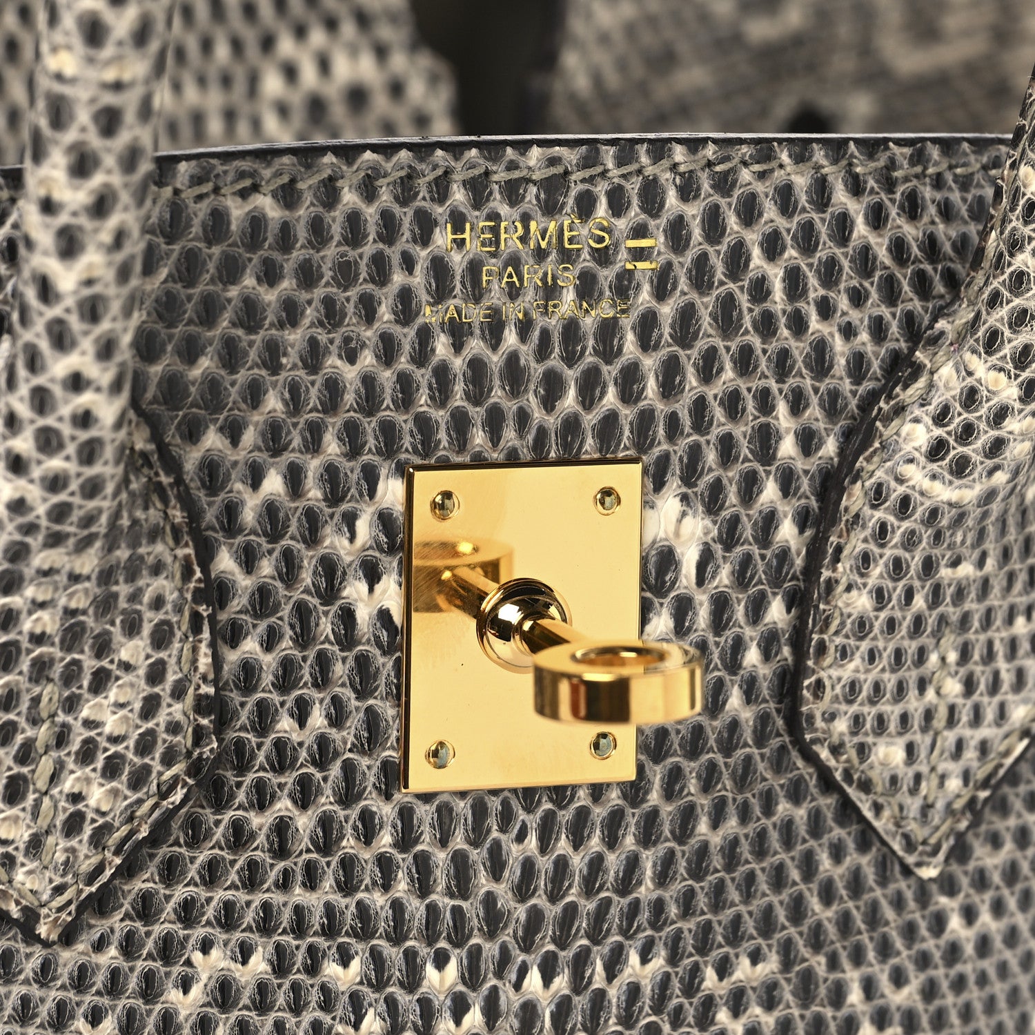 Hermes Lizard Birkin 25 Ombre 6 of 13