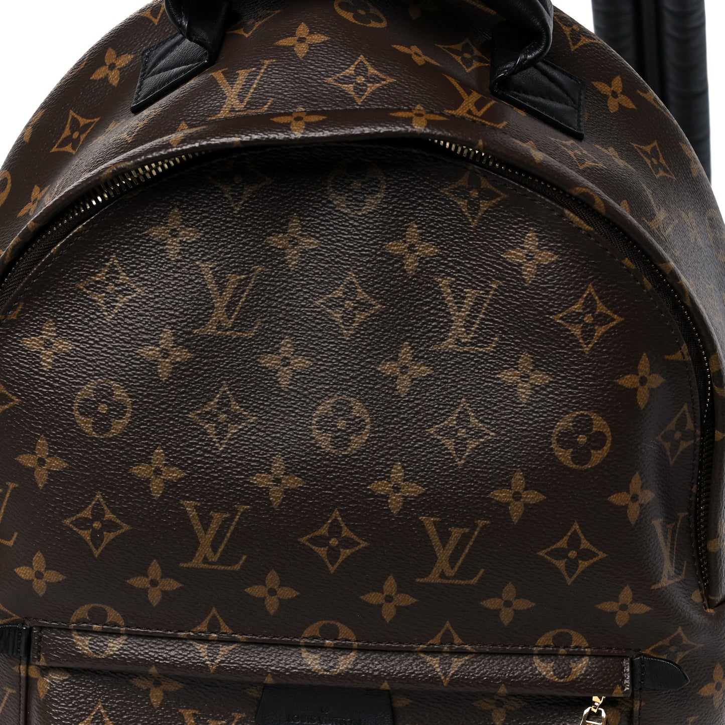 Monogram Palm Springs Backpack MM