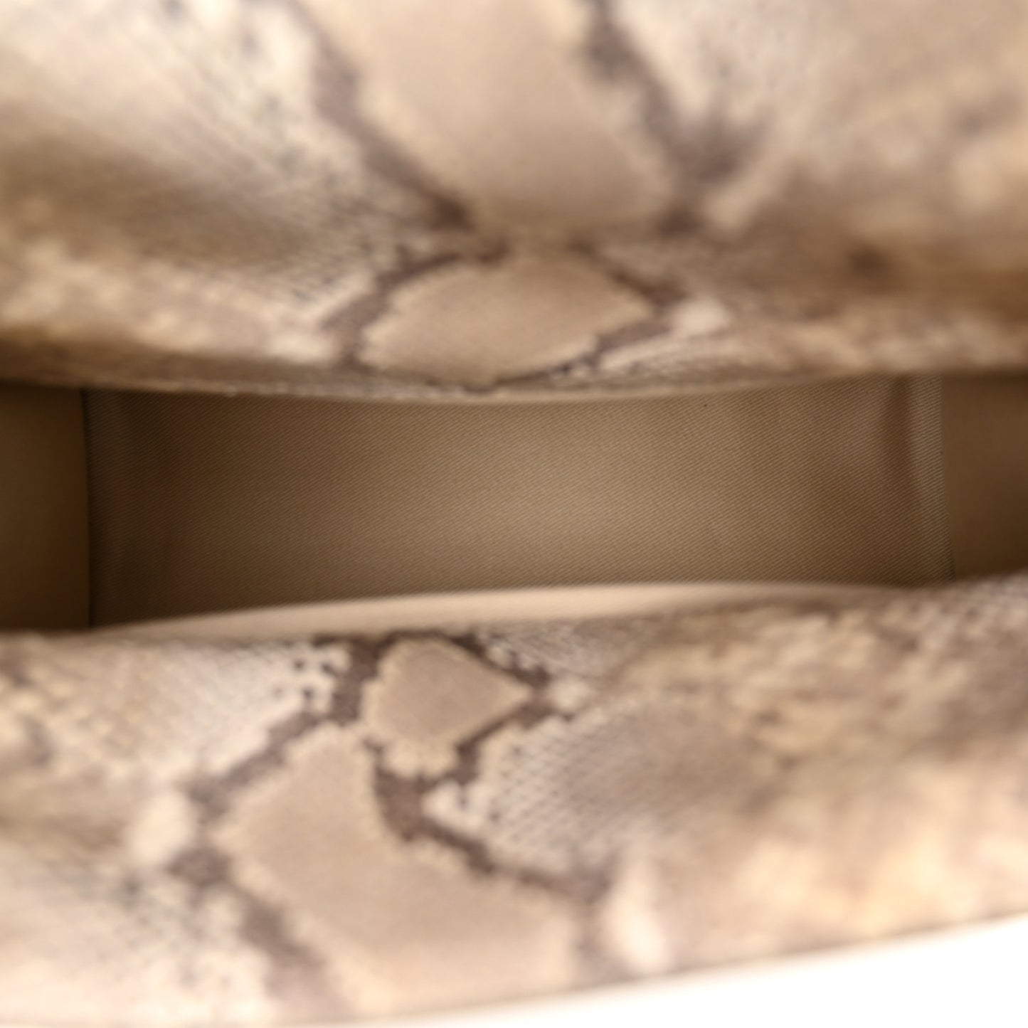 Python Embossed Calfskin La Rond Carre Take Out Clutch Beige