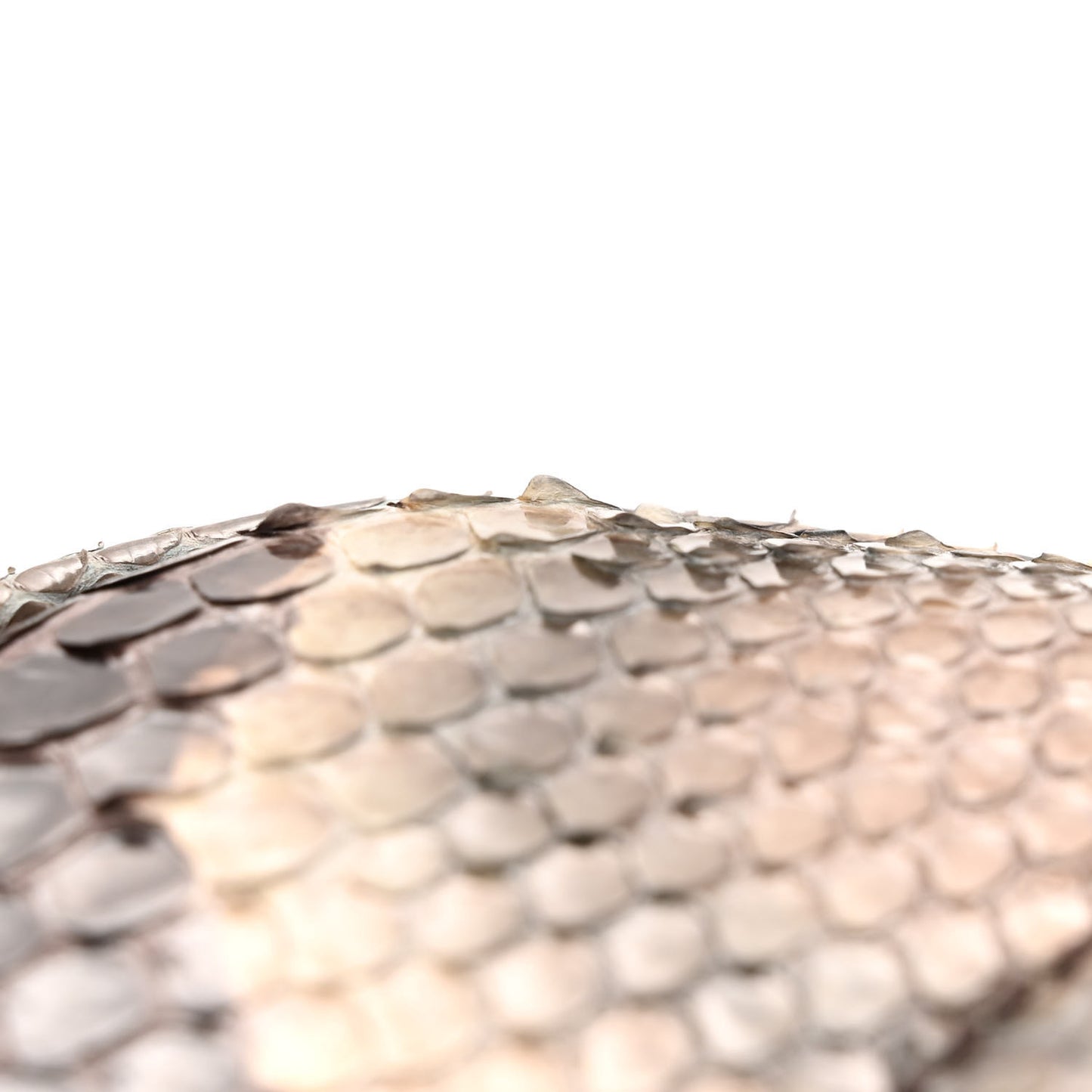 Snakeskin Small Soho Disco Bag Off White Nut Brown Beige