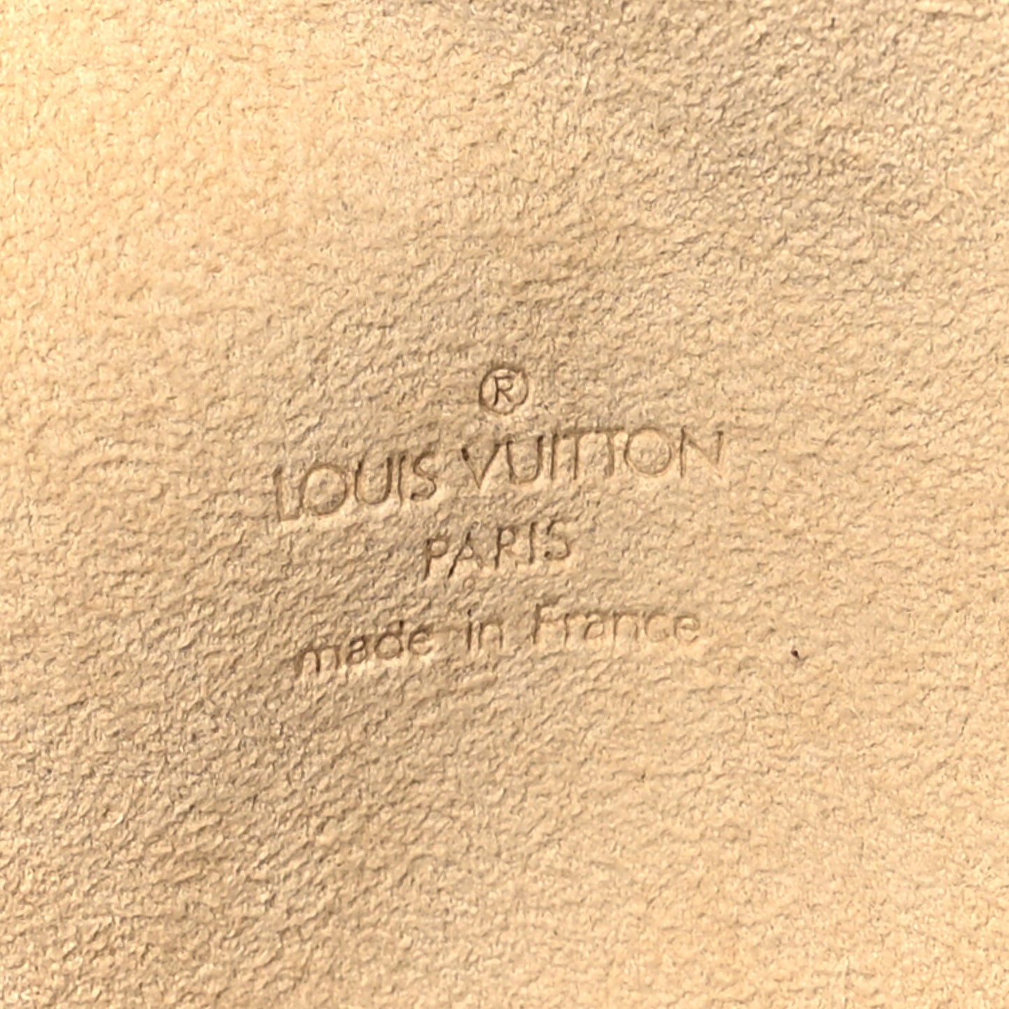 Monogram Pochette Florentine M