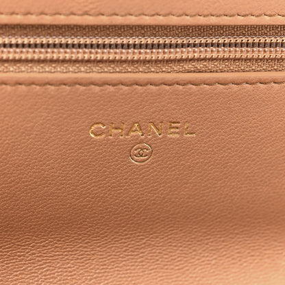 Chanel Lambskin Quilted Chanel 19 Wallet On Chain WOC Brown 6 of 11