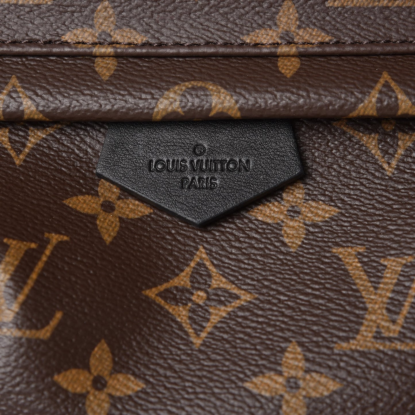 Monogram Palm Springs Backpack PM