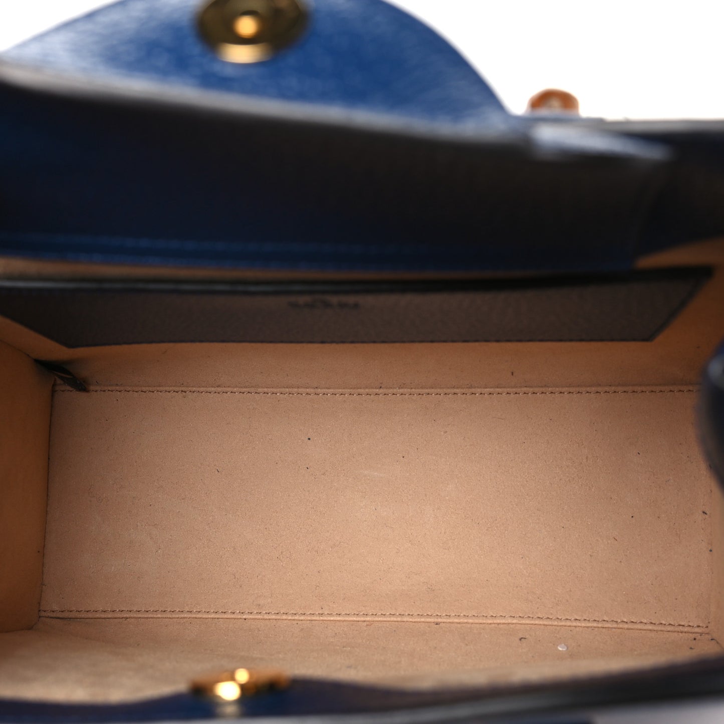 Textured Dollar Calfskin Web Small Diana Tote Bag Royal Crop