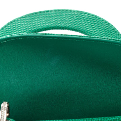 Christian Dior Lizard Swarovski Crystal Mini Lady Dior Green 11 of 12