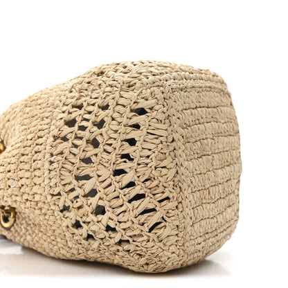 Saint Laurent Raffia Calfskin Joe Mini Bucket Bag  Natural Brick 8 of 9