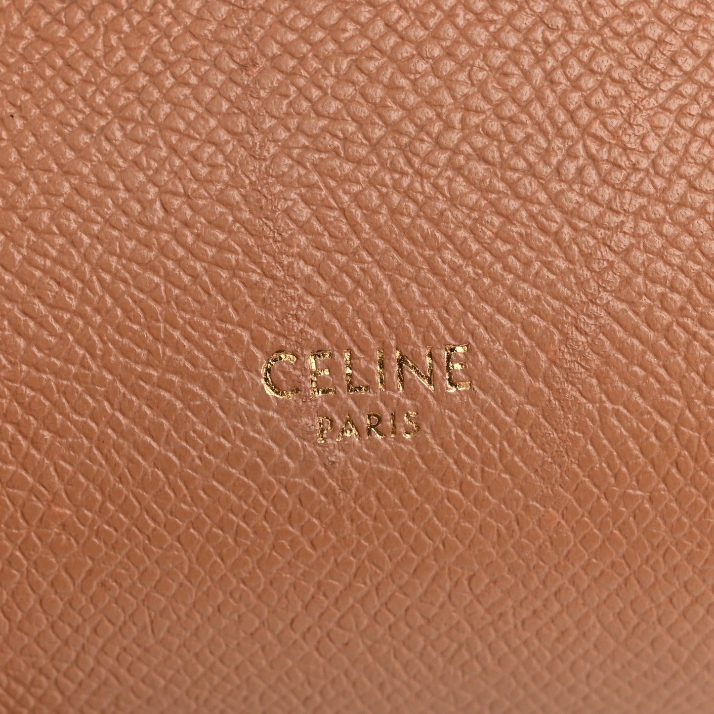 Grained Calfskin Pico Belt Bag Light Taupe