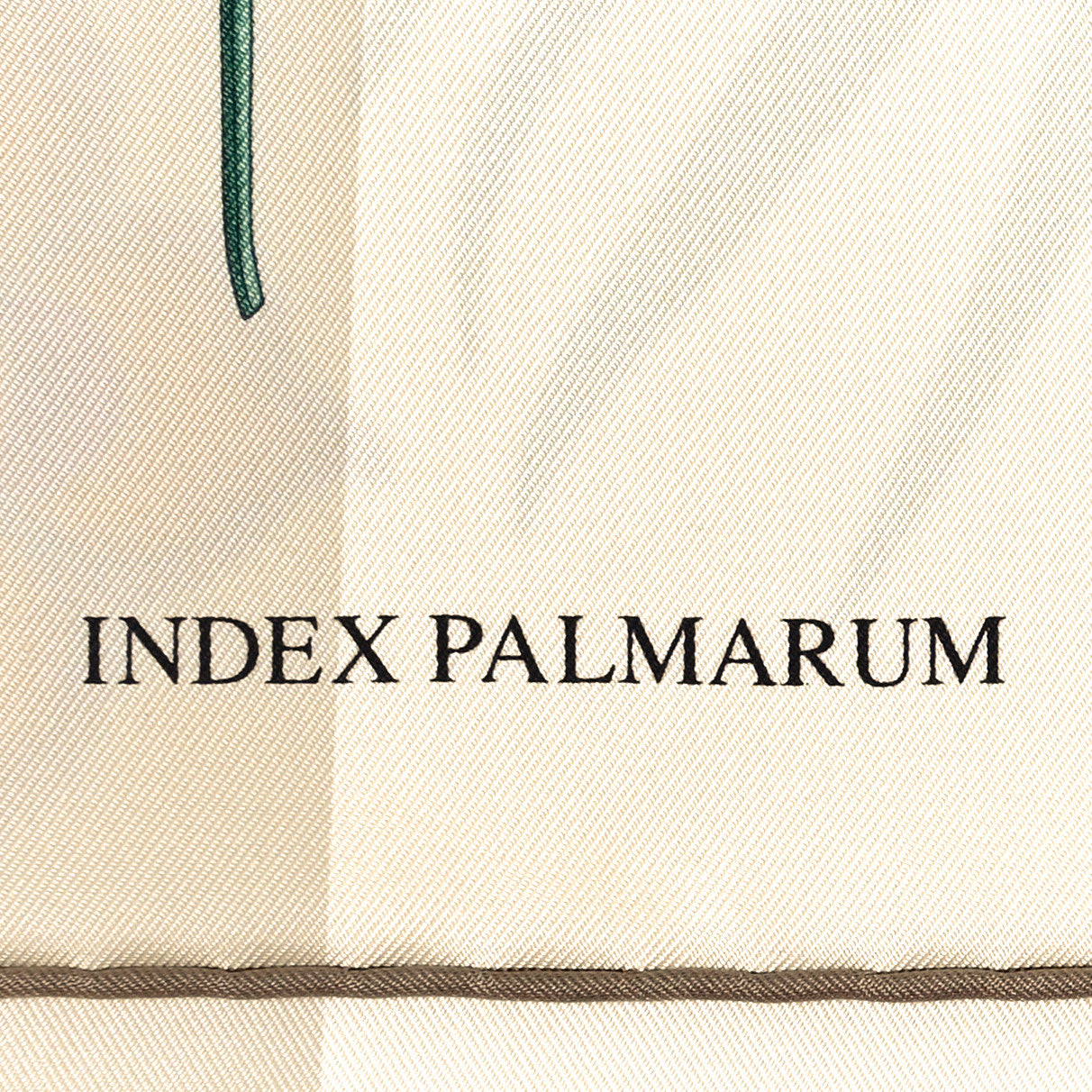 Silk Index Palmarum Scarf 90 Ivoire Vert Olive