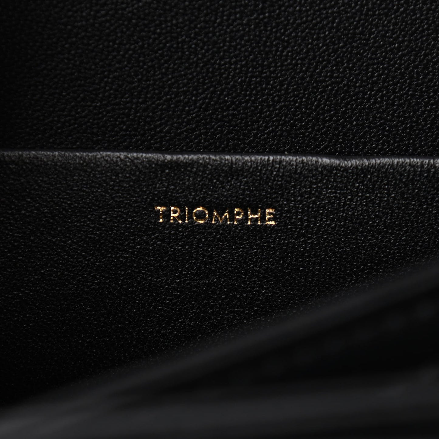 Shiny Calfskin Large Triomphe Black