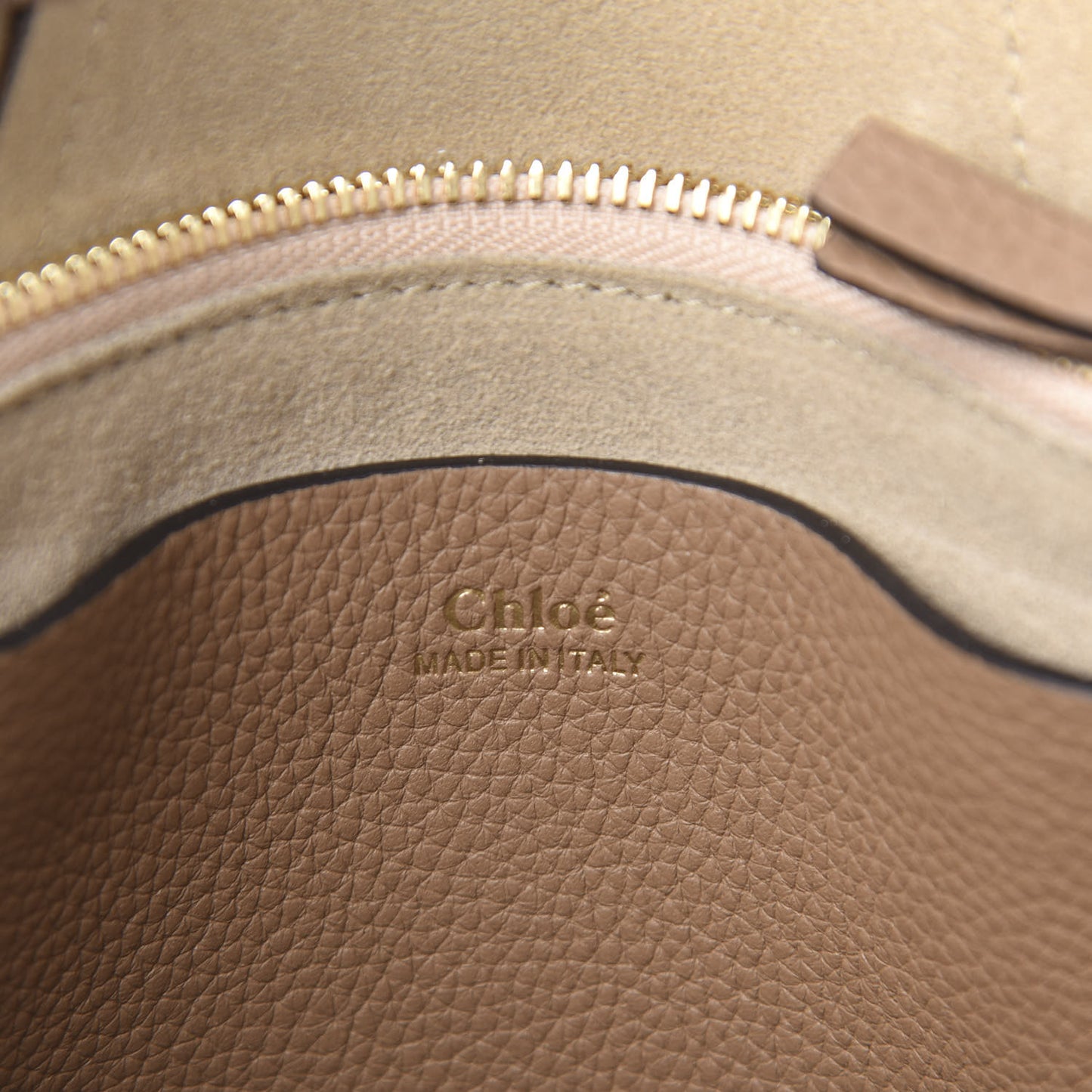 Grained Calfskin Small Hayley Hobo Nut