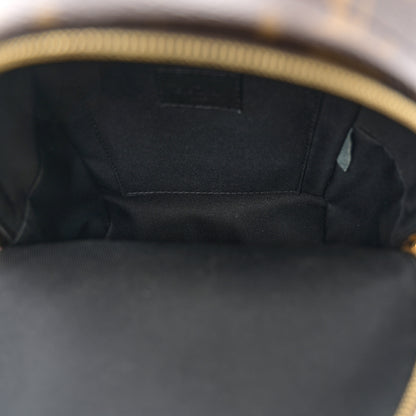 Louis Vuitton Monogram Palm Springs Backpack Mini 5 of 10