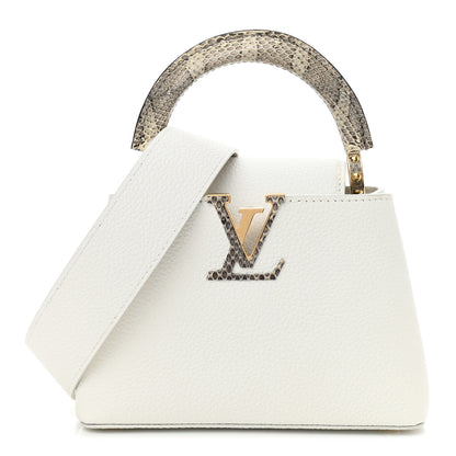 Louis Vuitton Taurillon Ayers Capucines Mini White Snow White 1 of 9