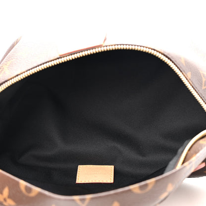 Louis Vuitton Monogram Bumbag 5 of 8