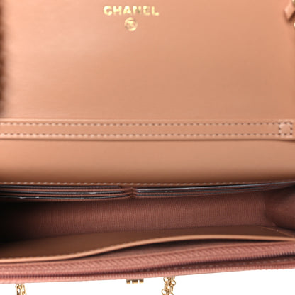 Chanel Calfskin Quilted Reissue Wallet On Chain WOC Beige 5 of 10