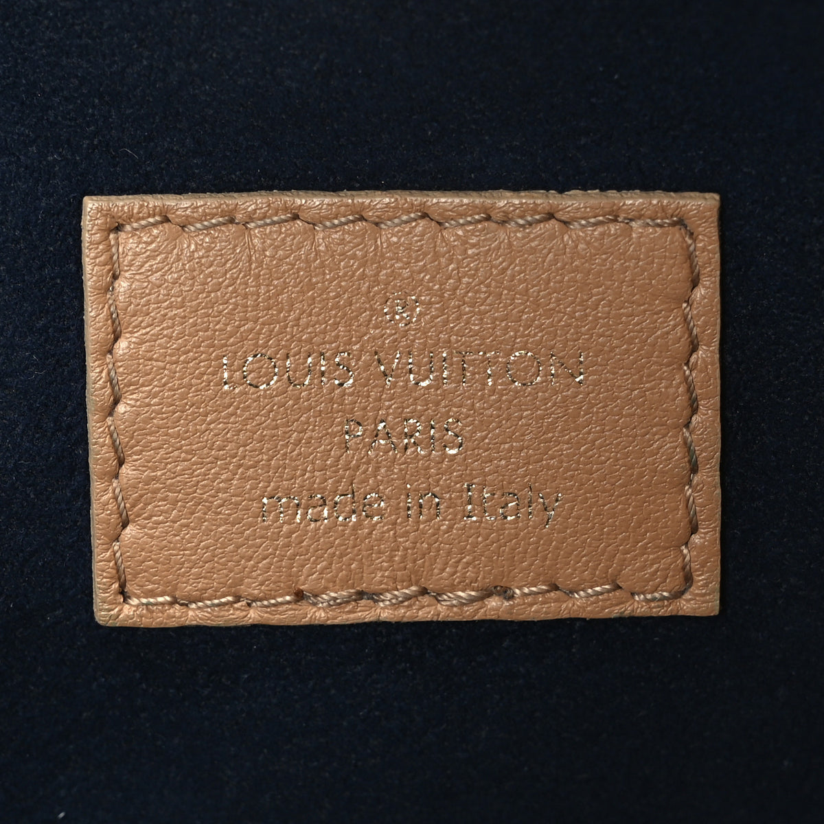 Louis Vuitton Lambskin Embossed Monogram Coussin MM Taupe 7 of 11