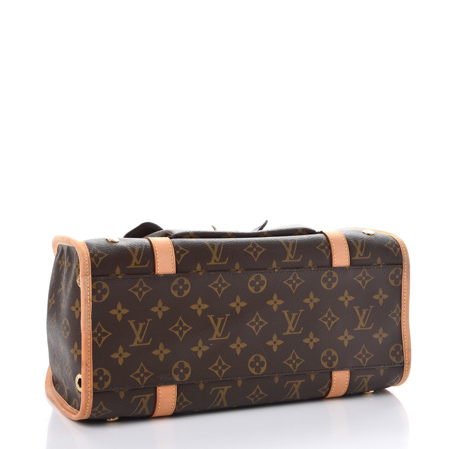 Louis Vuitton Monogram Baxter PM Dog Pet Carrier 4 of 10