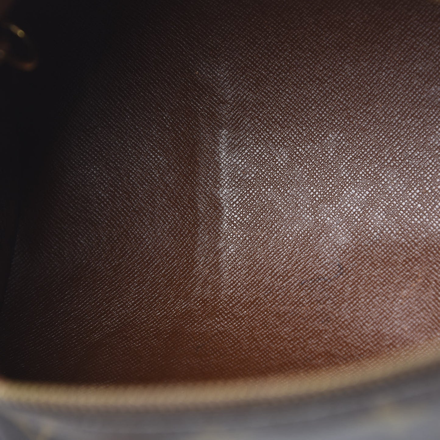 Monogram Papillon 30